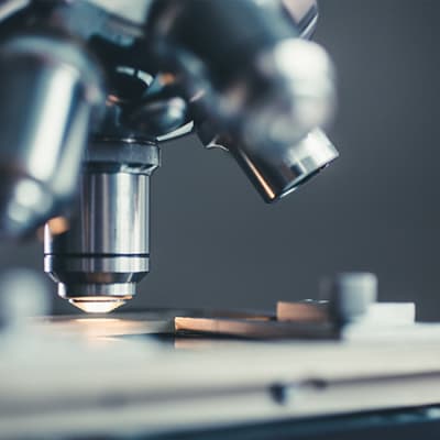 Covid vaccines; an economic shot in the arm